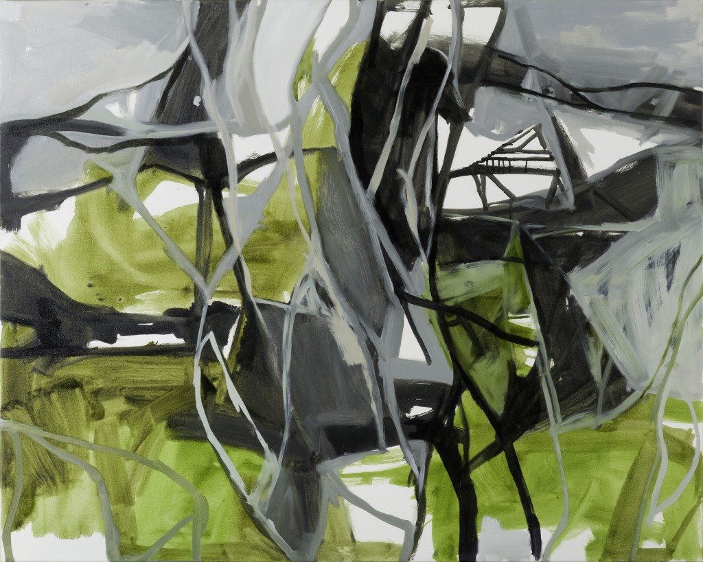 wetlands by canoe