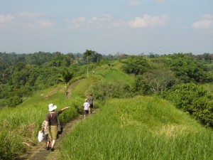 ubud-campuan ridge