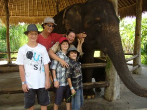 elephant-safari park