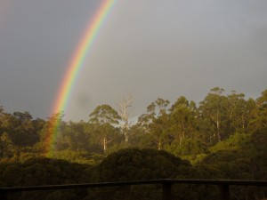 moombaki-rainbow